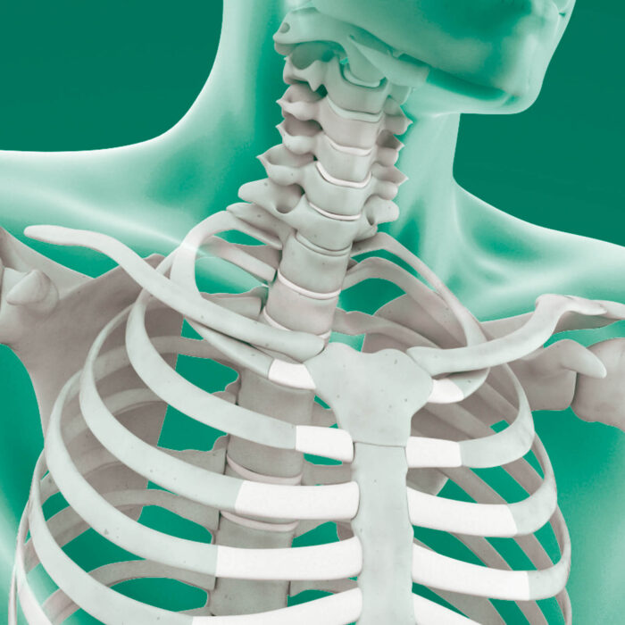 Daonsa Implantes